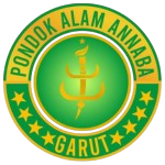 pondokalamannaba.or.id favicon